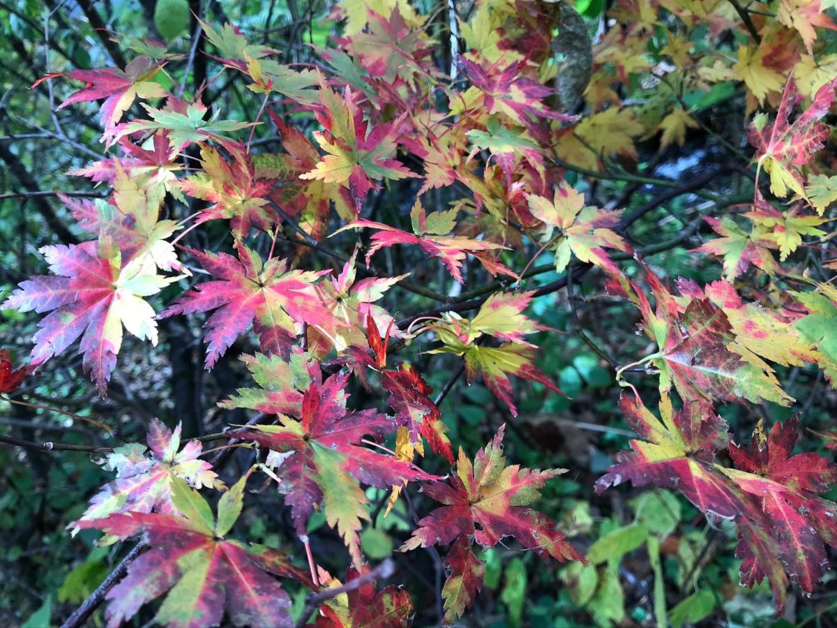 Petit Hotel Kazekozou Shinano  Esterno foto